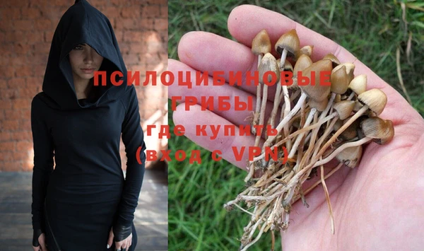 мяу мяу мука Сосновоборск