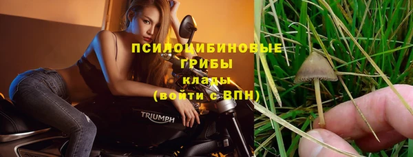 меф Богородицк