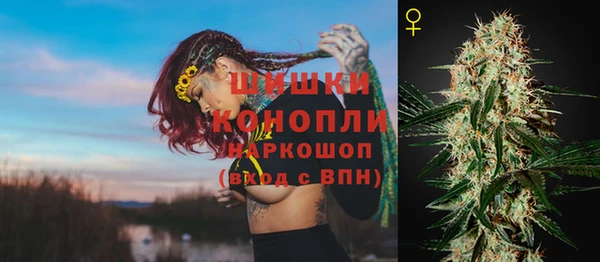 меф Богородицк