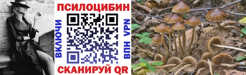 Псилоцибиновые грибы мухоморы  купить наркотики сайты  Нарткала 