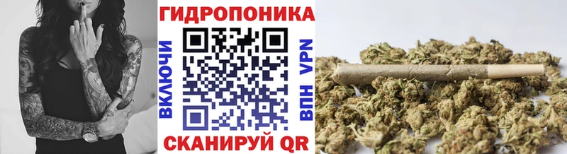 Шишки марихуана Bruce Banner  mega ссылка  Нарткала  цена наркотик 